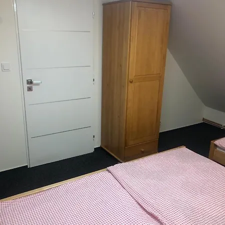 Apartmany U Vleku - Podkrovni Apartman Karlova Studanka Exterior photo