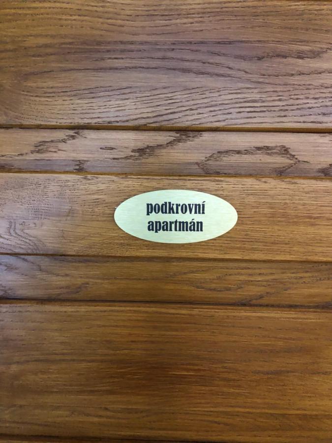 U Vleku - Podkrovni Apartment Karlova Studanka